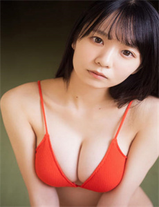 互换性伴侣